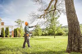 Best Lawn Grading and Leveling  in Thorofare, NJ
