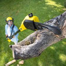 Best Lawn Pest Prevention  in Thorofare, NJ